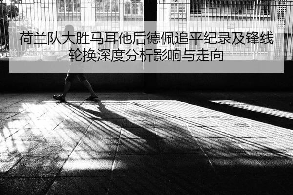 he-lan-dui-da-sheng-ma-er-ta-hou-de-pei-zhui-ping-ji-lu-ji-feng-xian-lun-huan-shen-du-fen-xi-ying-xiang-yu-zou-xiang-2-722.jpg