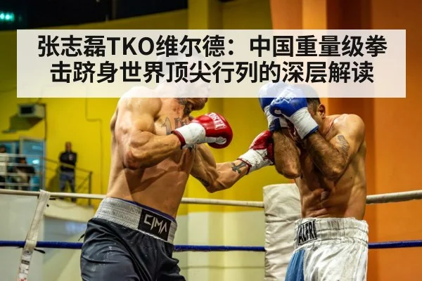 张志磊TKO维尔德:中国重量级拳击跻身世界顶尖行列的深层解读