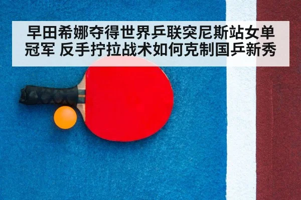 ping pong racket